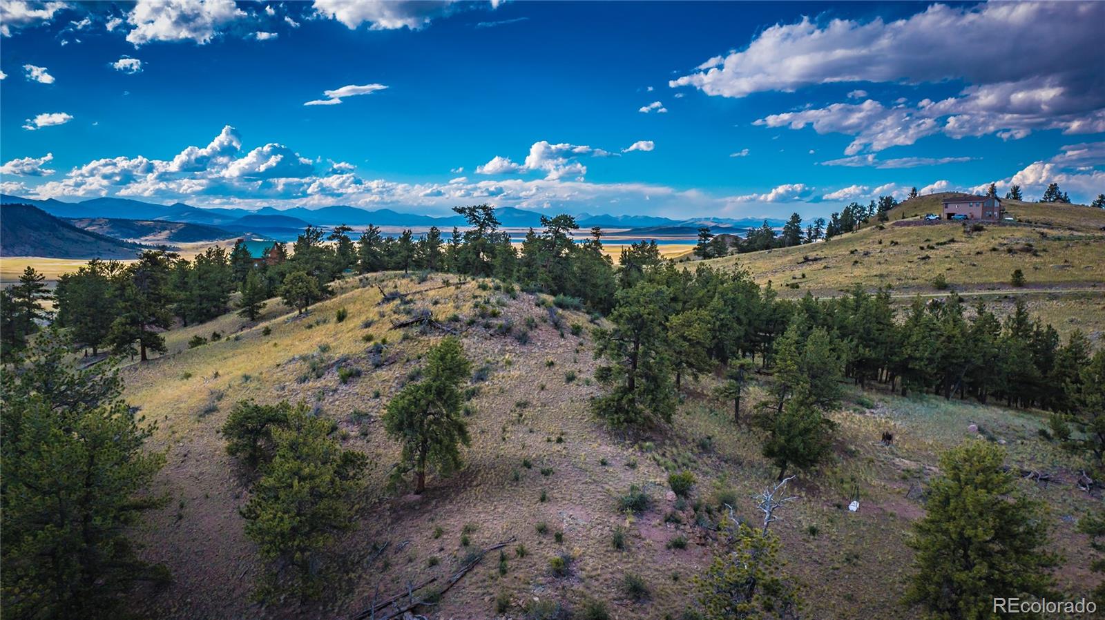 1300 Bridle Pa, Hartsel, CO 80449