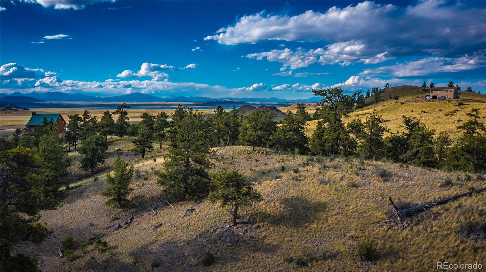 1300 Bridle Pa, Hartsel, CO 80449