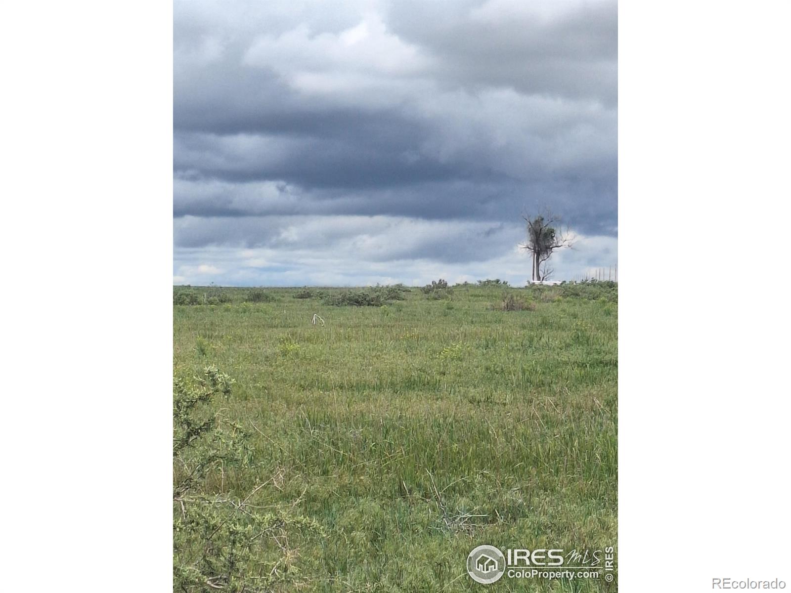 0 Parcel 6 South, Briggsdale, CO 80611