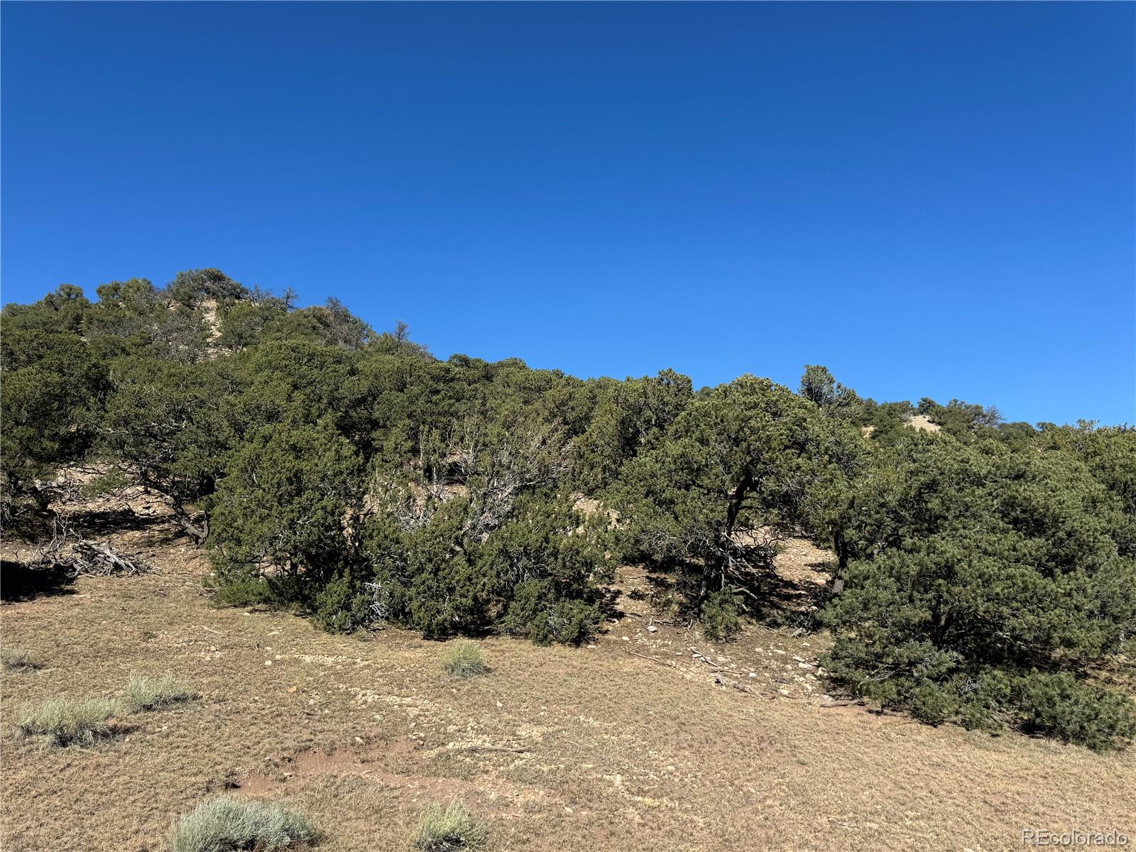 L41 Co Rd 531 Cl&g Unit Bb, Walsenburg, CO 81089