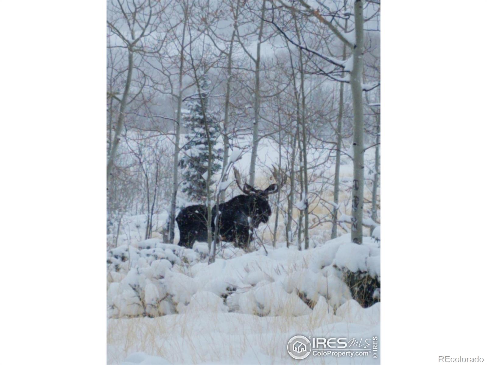 0 Parsons Draw Rd, Walden, CO 80480