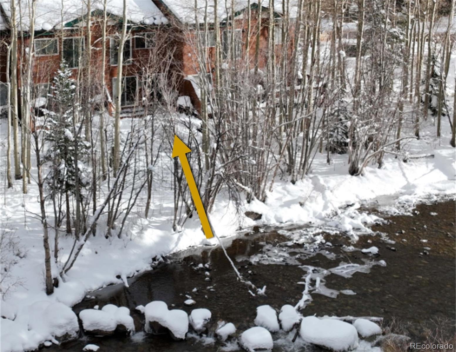 487 W Main St #C, Frisco, CO 80443