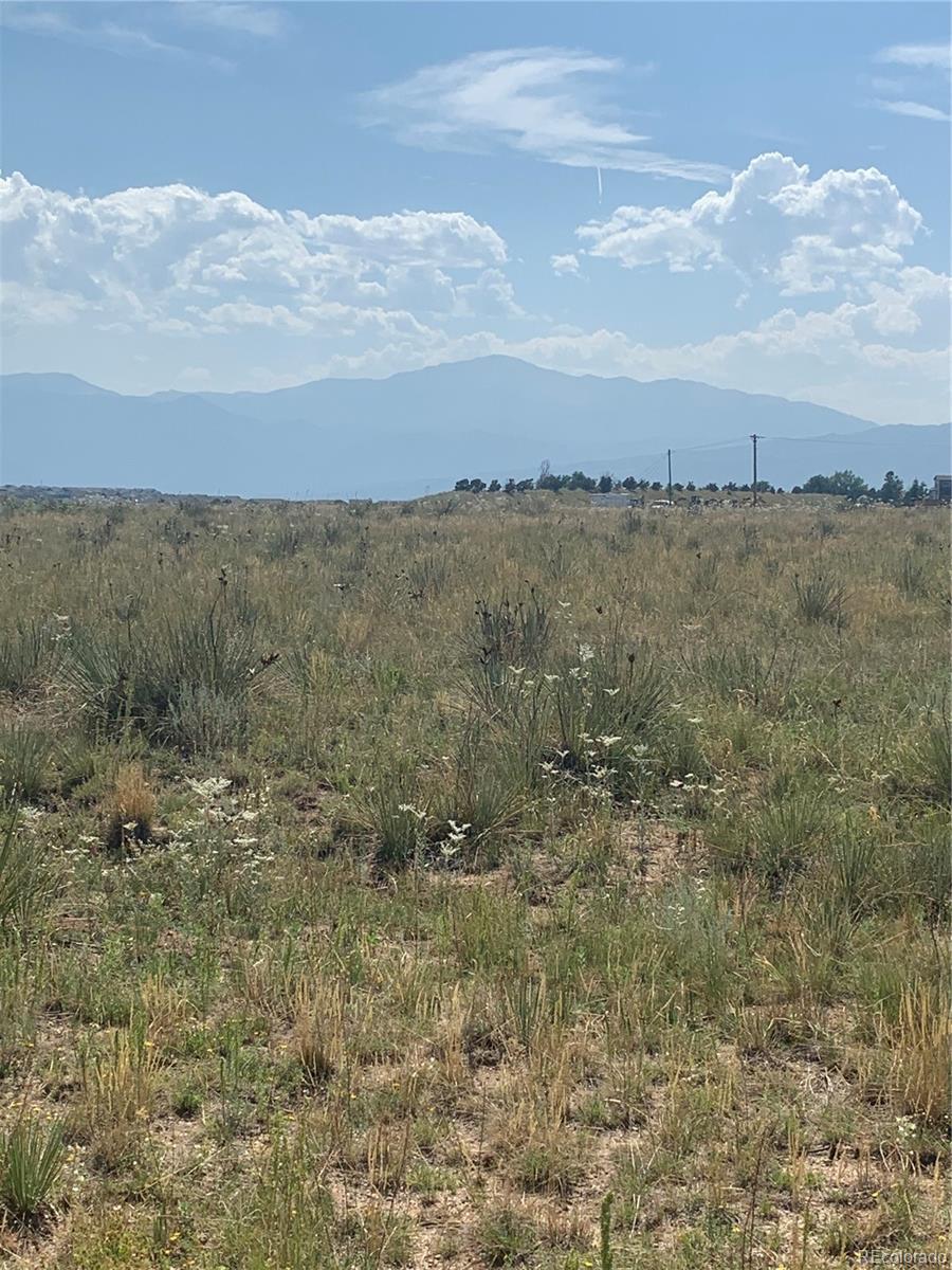Riveria Dr, Colorado Springs, CO 80908