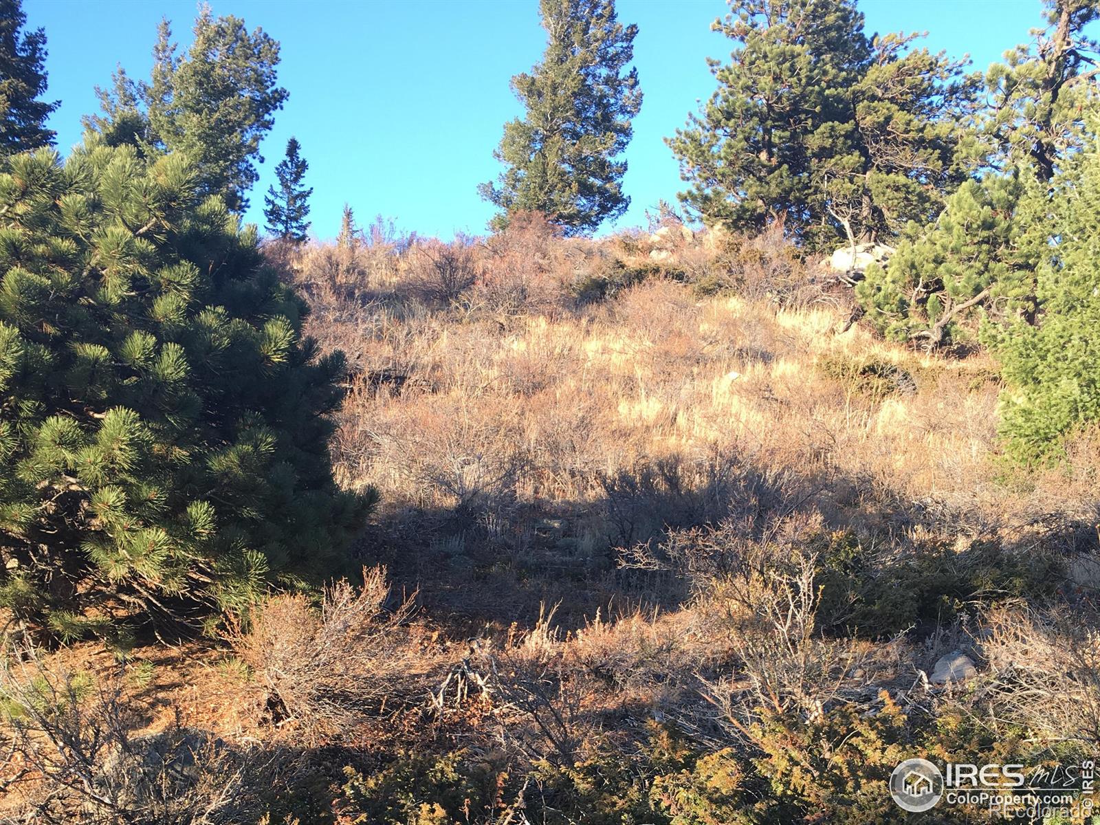 0 Cold Springs Dr, Nederland, CO 80466