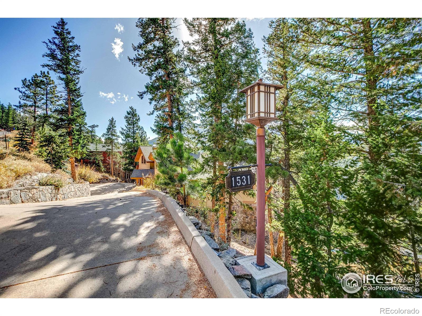 1531 St Moritz Trl, Estes Park, CO 80517
