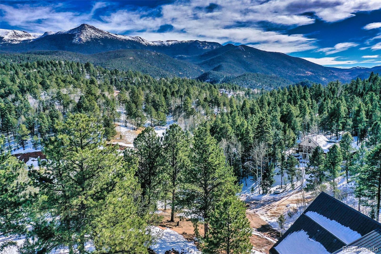 125 Kestrel Ct, Divide, CO 80814