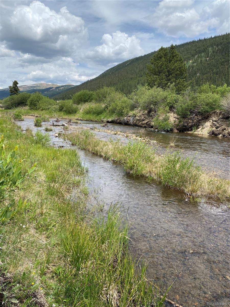 320 Cr 6, Alma, CO 80420