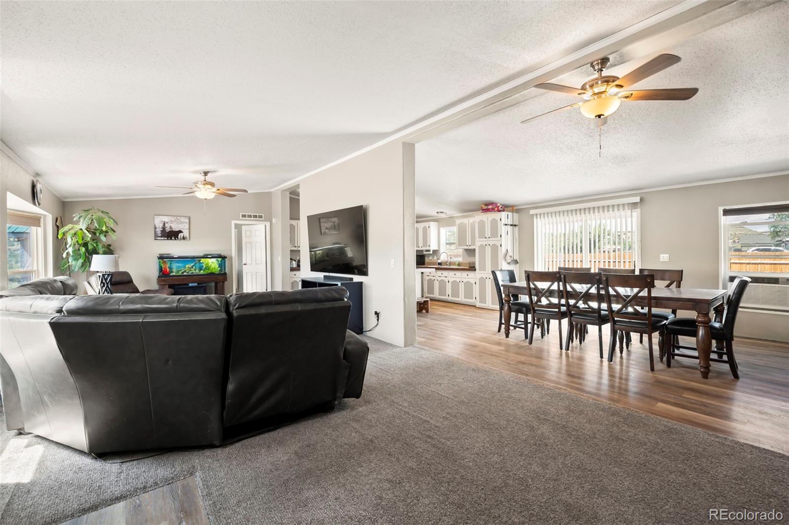 925 Coyote Cir, Coal Creek, CO 81221