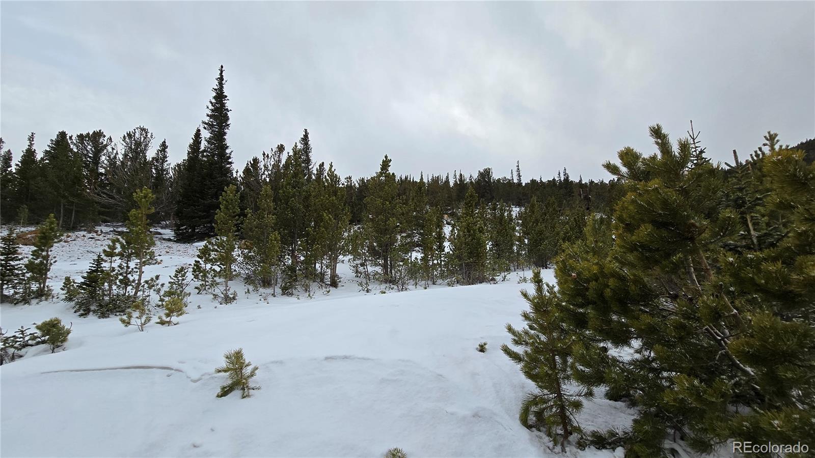 Aspen Rd, Idaho Springs, CO 80444
