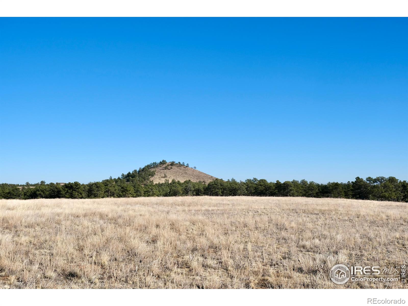 0 Walno Ave, Livermore, CO 80536