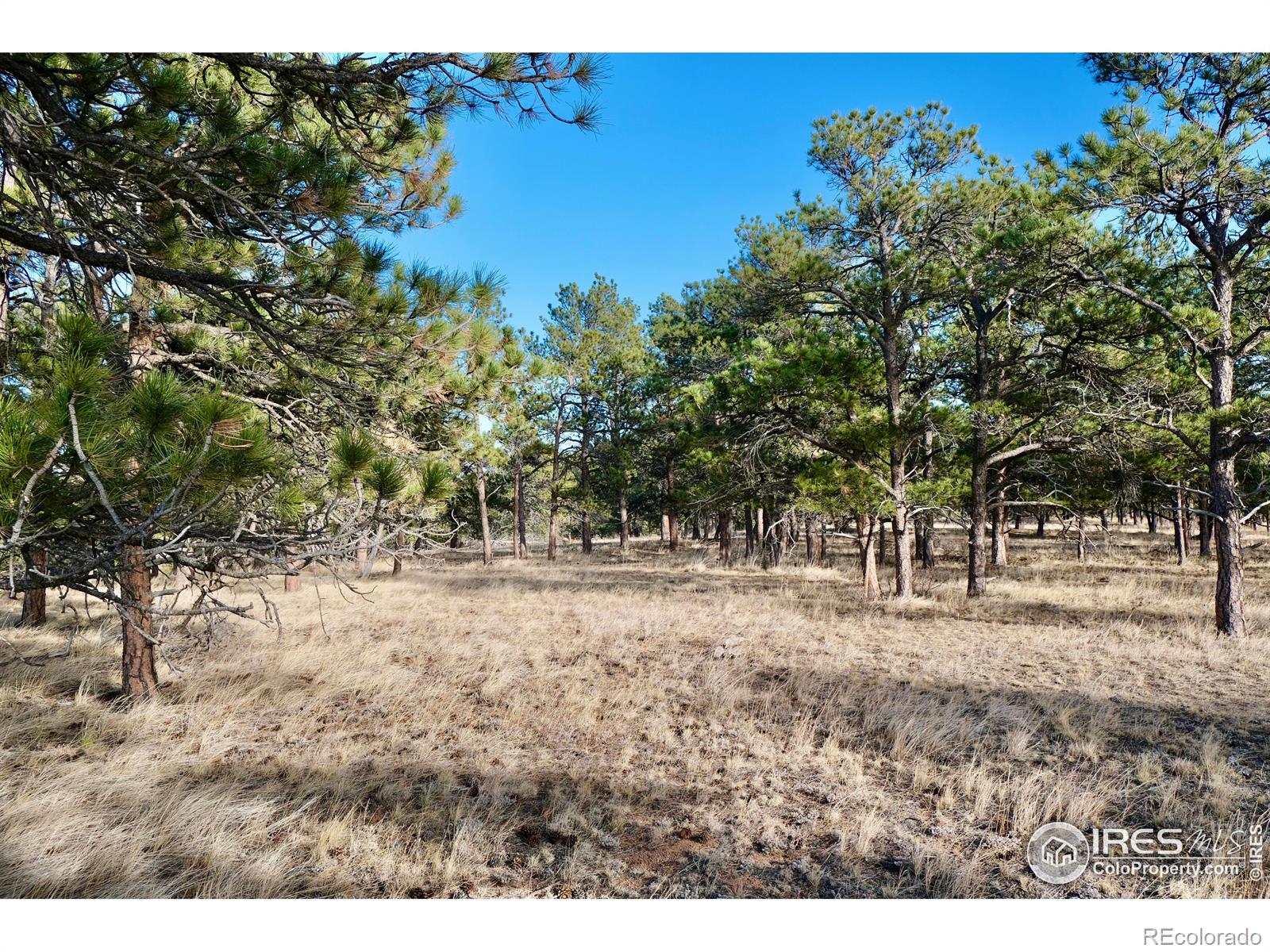 0 Walno Ave, Livermore, CO 80536