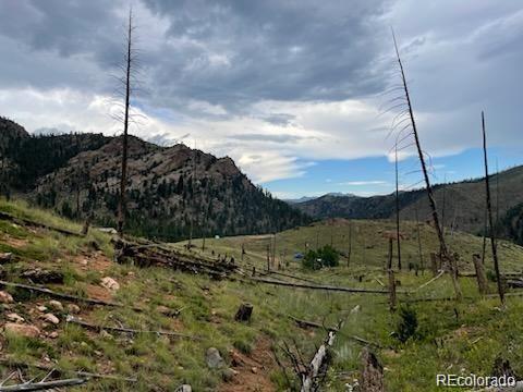 13841 S State Highway 67, Woodland Park, CO 80863