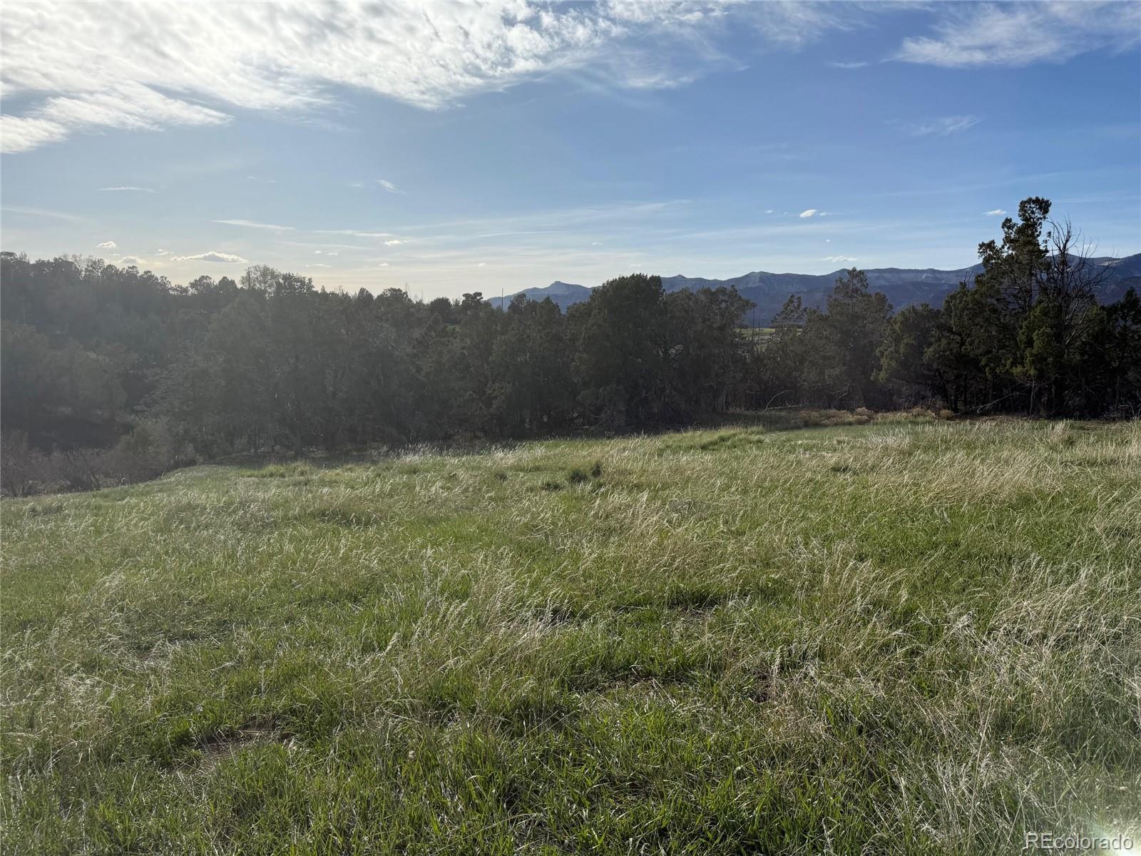 14495 N Scott Loop Lot 23, Collbran, CO 81624