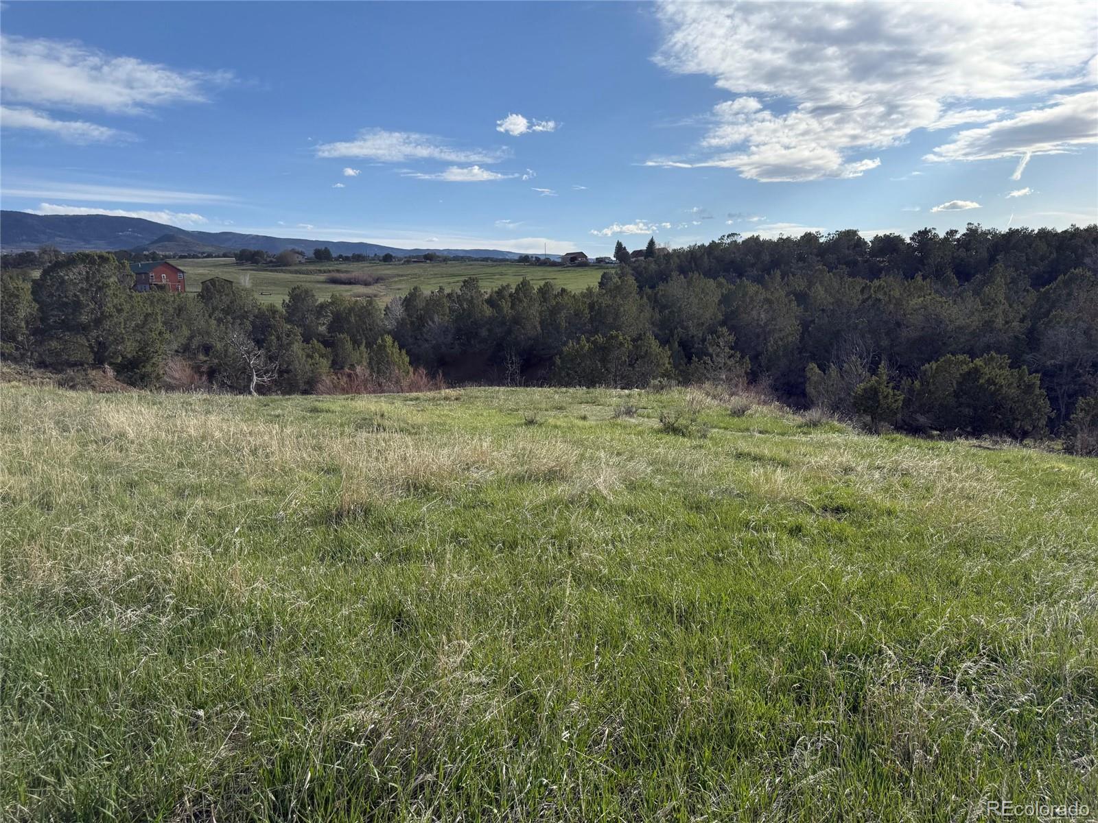 14495 N Scott Loop Lot 23, Collbran, CO 81624