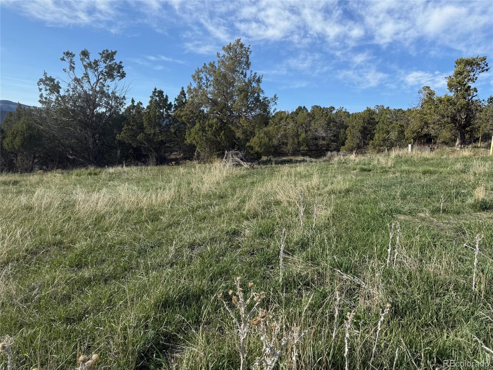 14495 N Scott Loop Lot 23, Collbran, CO 81624