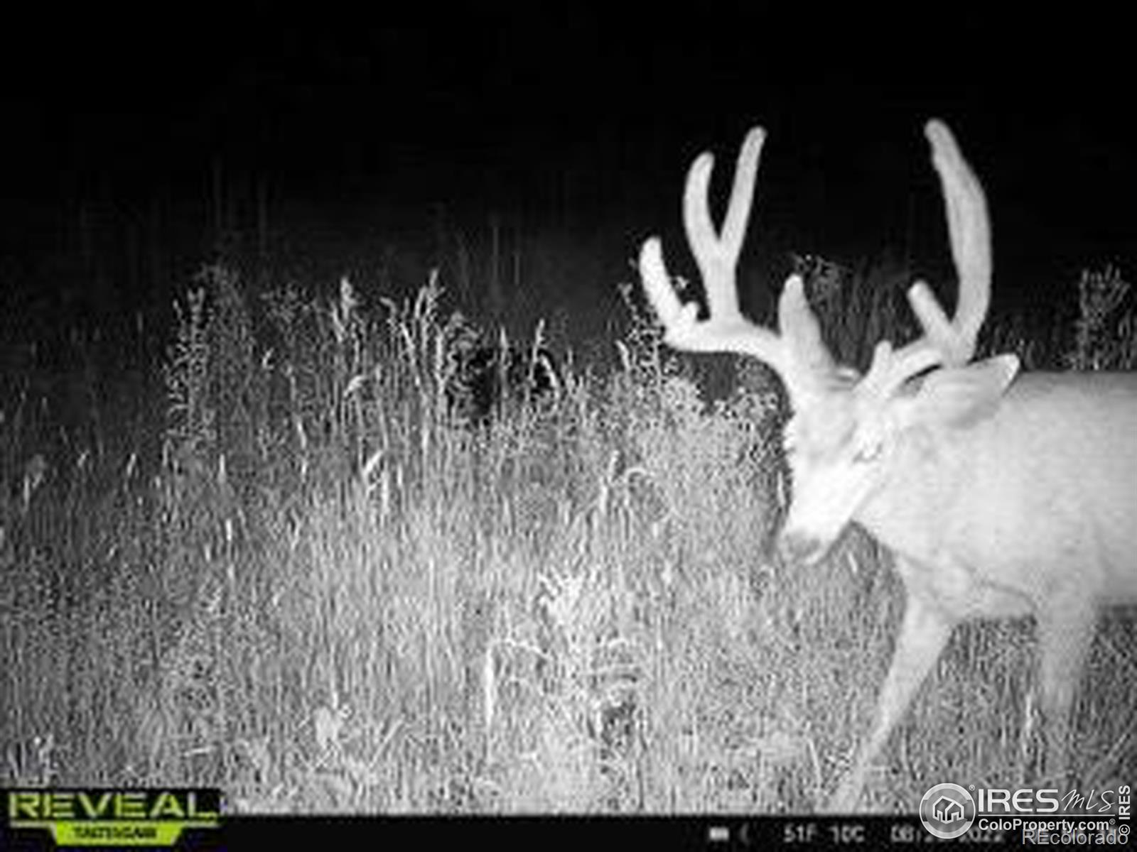 1055 Granite Rd, Bellvue, CO 80512