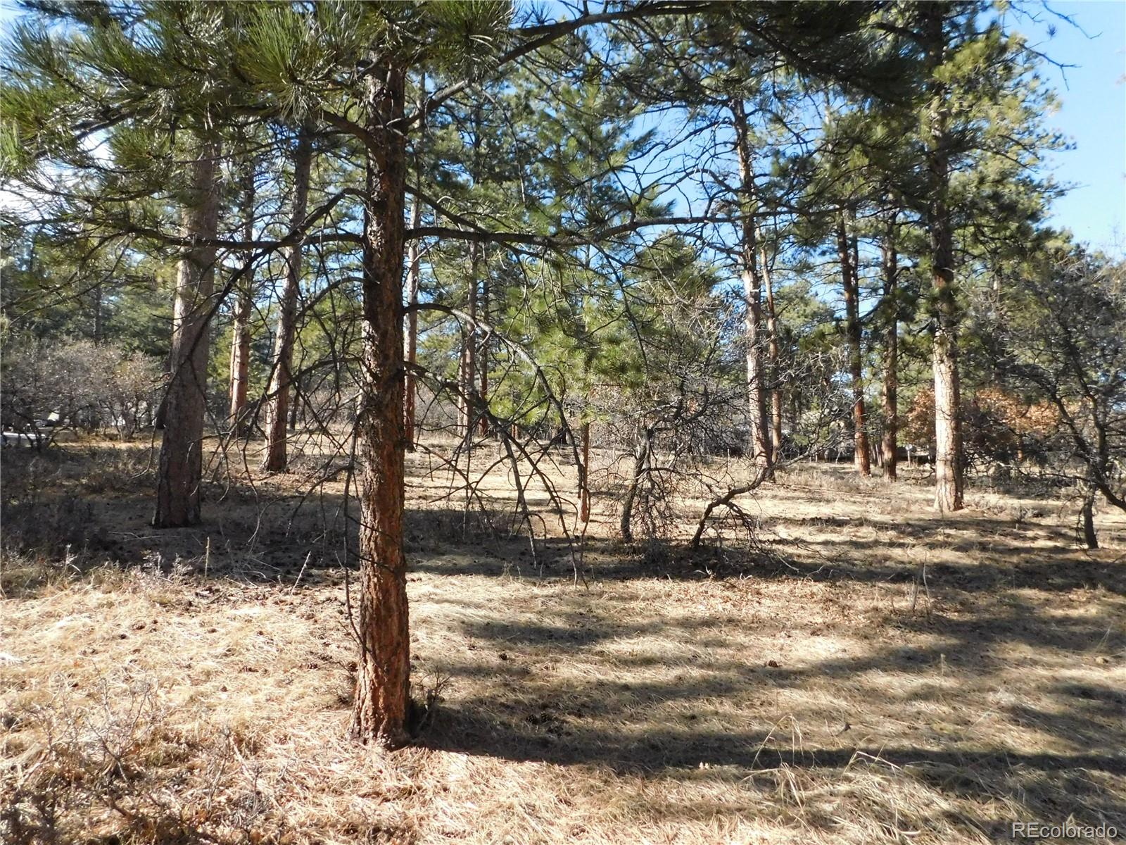 5875 S Pike Dr, Larkspur, CO 80118