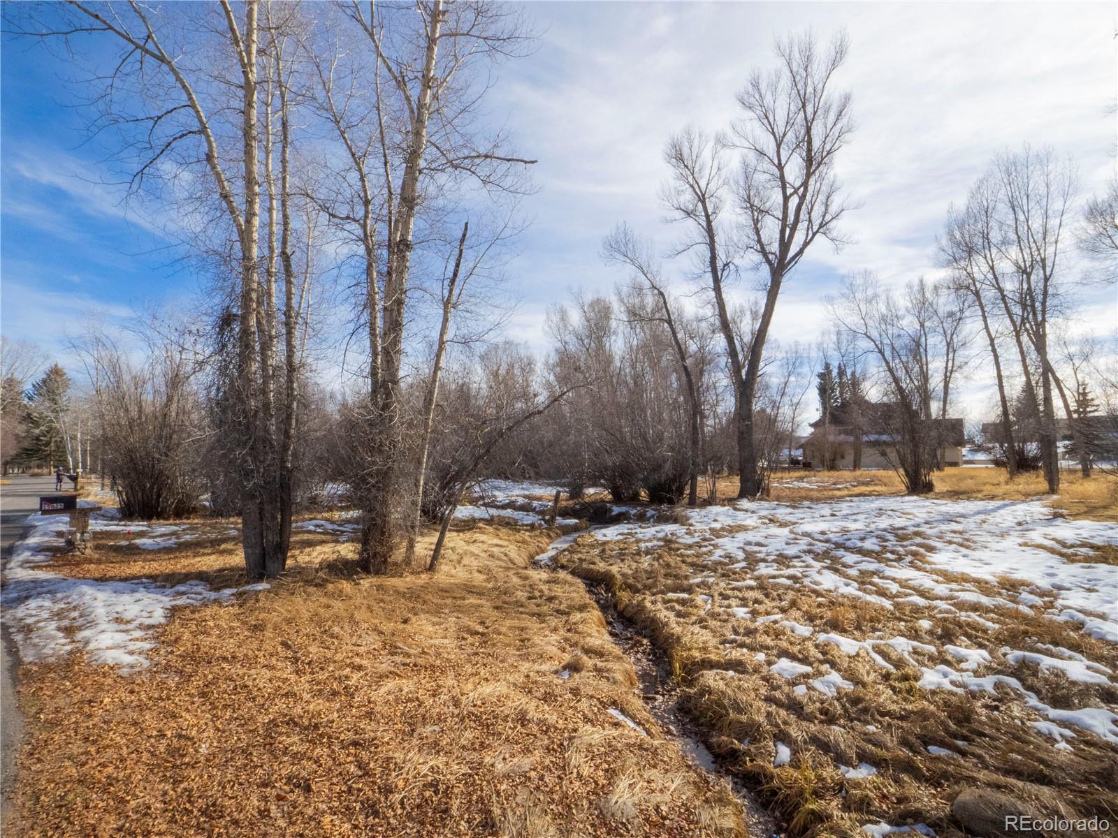 Tee Rd, Buena Vista, CO 81211