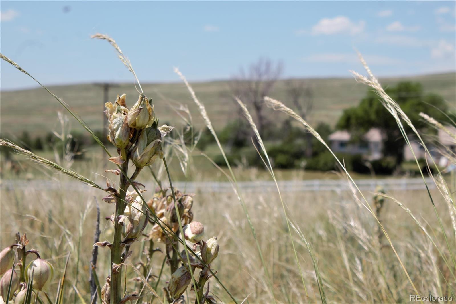 Tract 7 Mcclelland Rd Lot Tract 7, Calhan, CO 80808