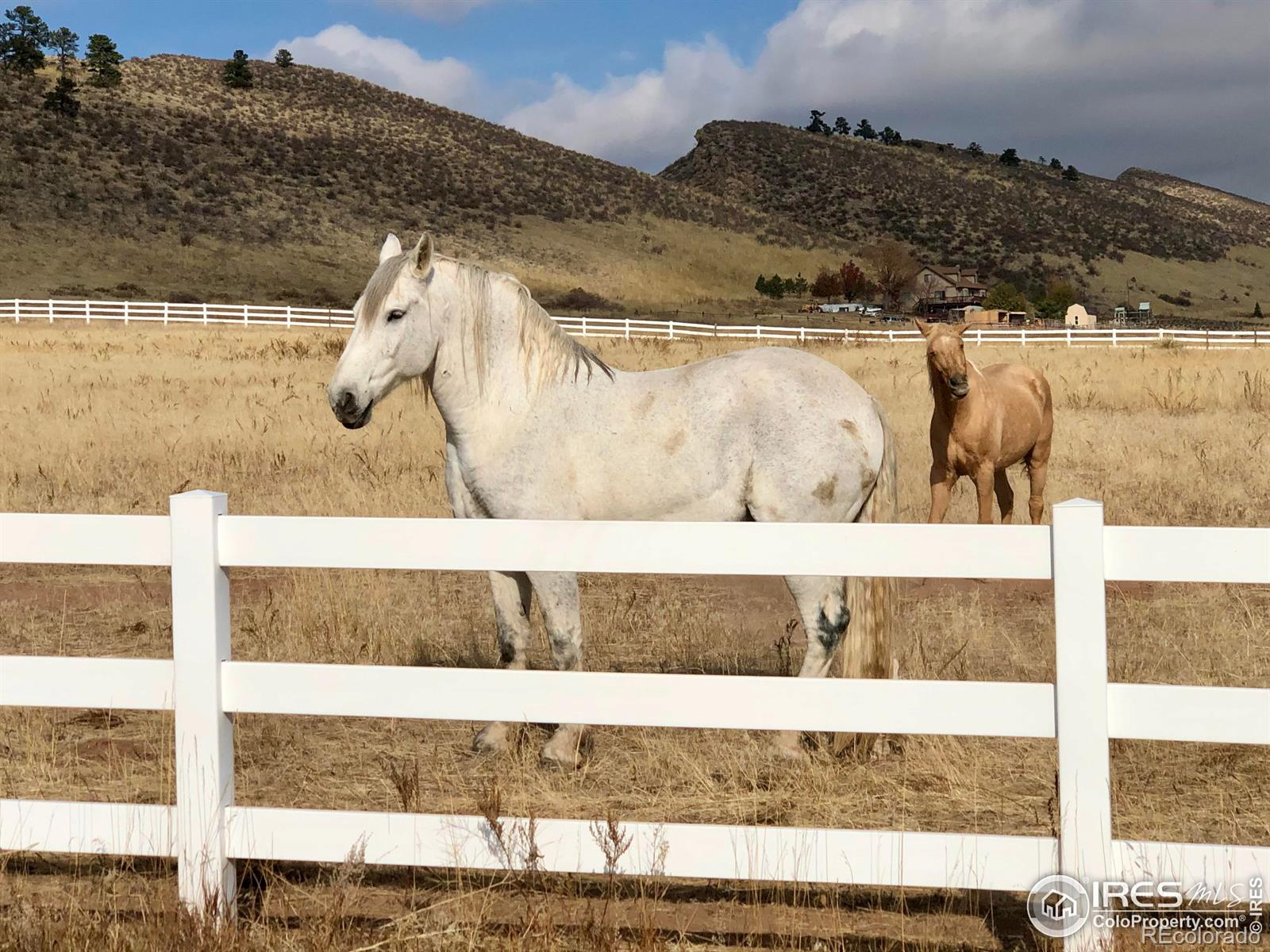 5575 Spring Glade Rd, Loveland, CO 80538