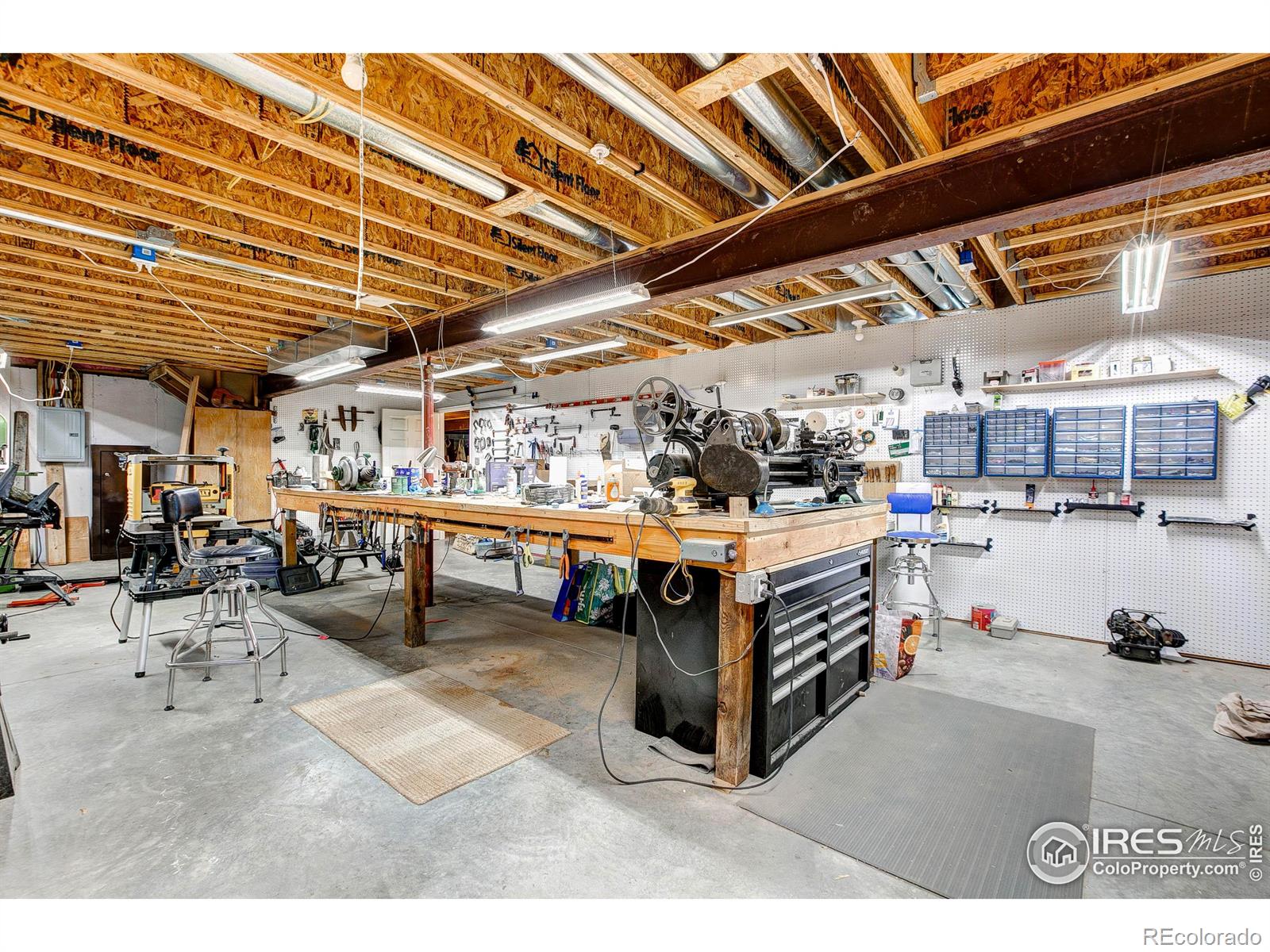 7893 Little Fox Ln, Wellington, CO 80549