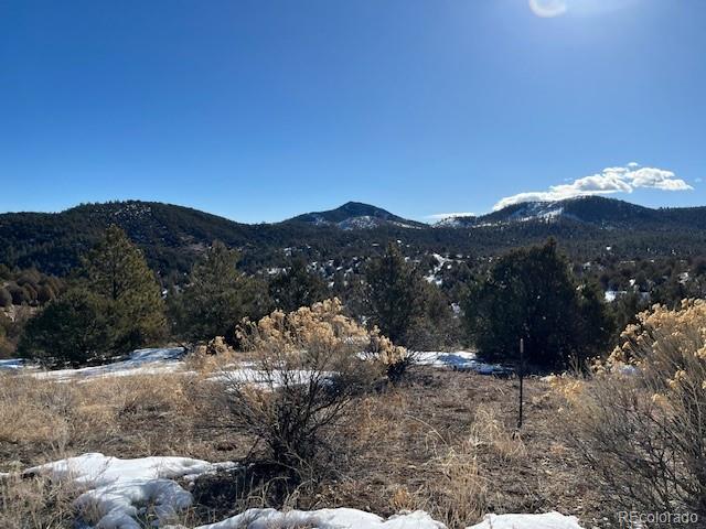 3586 Indian Wells Rd, Texas Creek, CO 81223