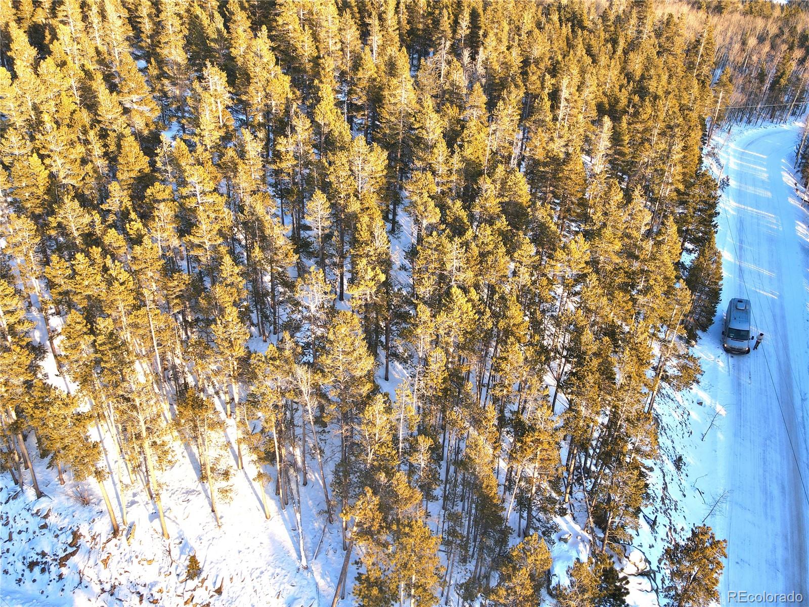 62 Badger Rd Lot 49, Black Hawk, CO 80422