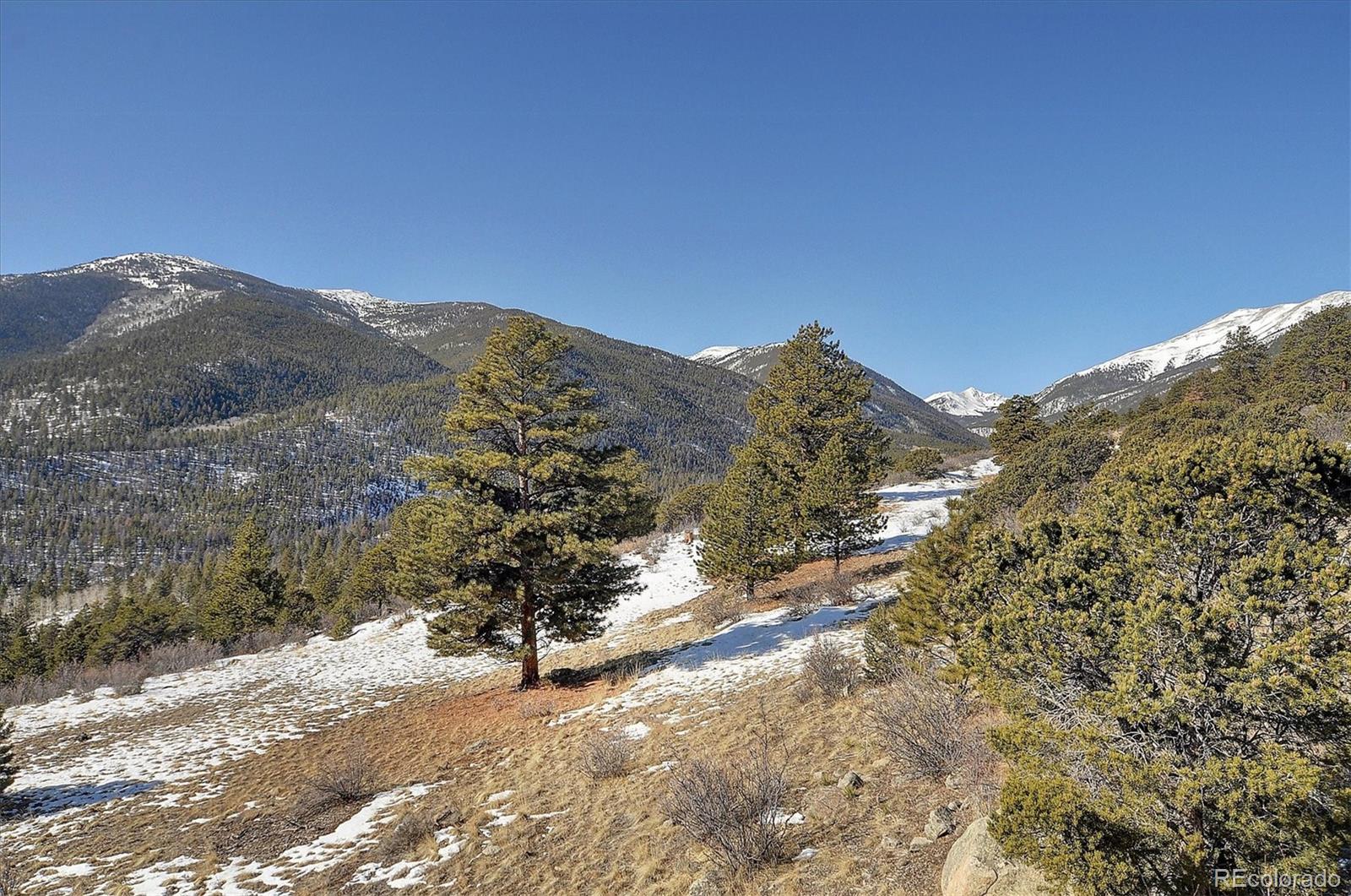 30195 Mountaintop Dr, Buena Vista, CO 81211