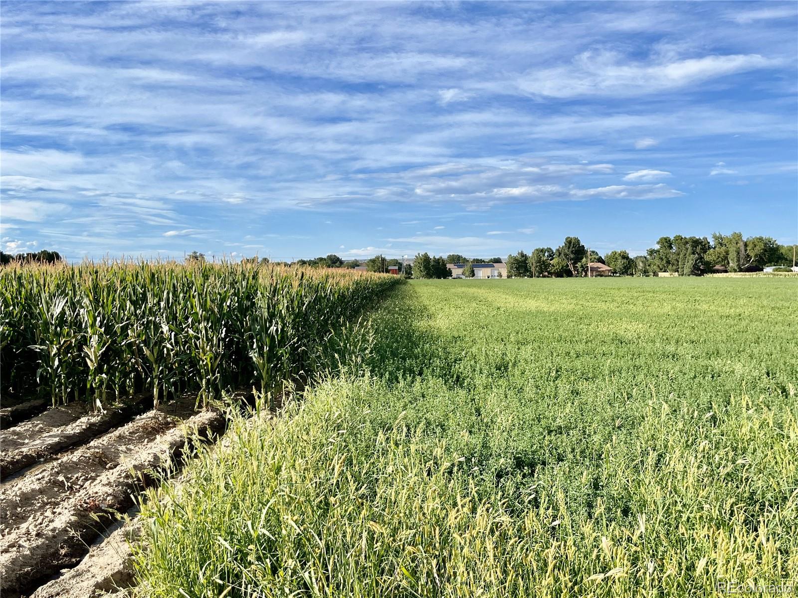2216 County Farm Rd, Pueblo, CO 81006