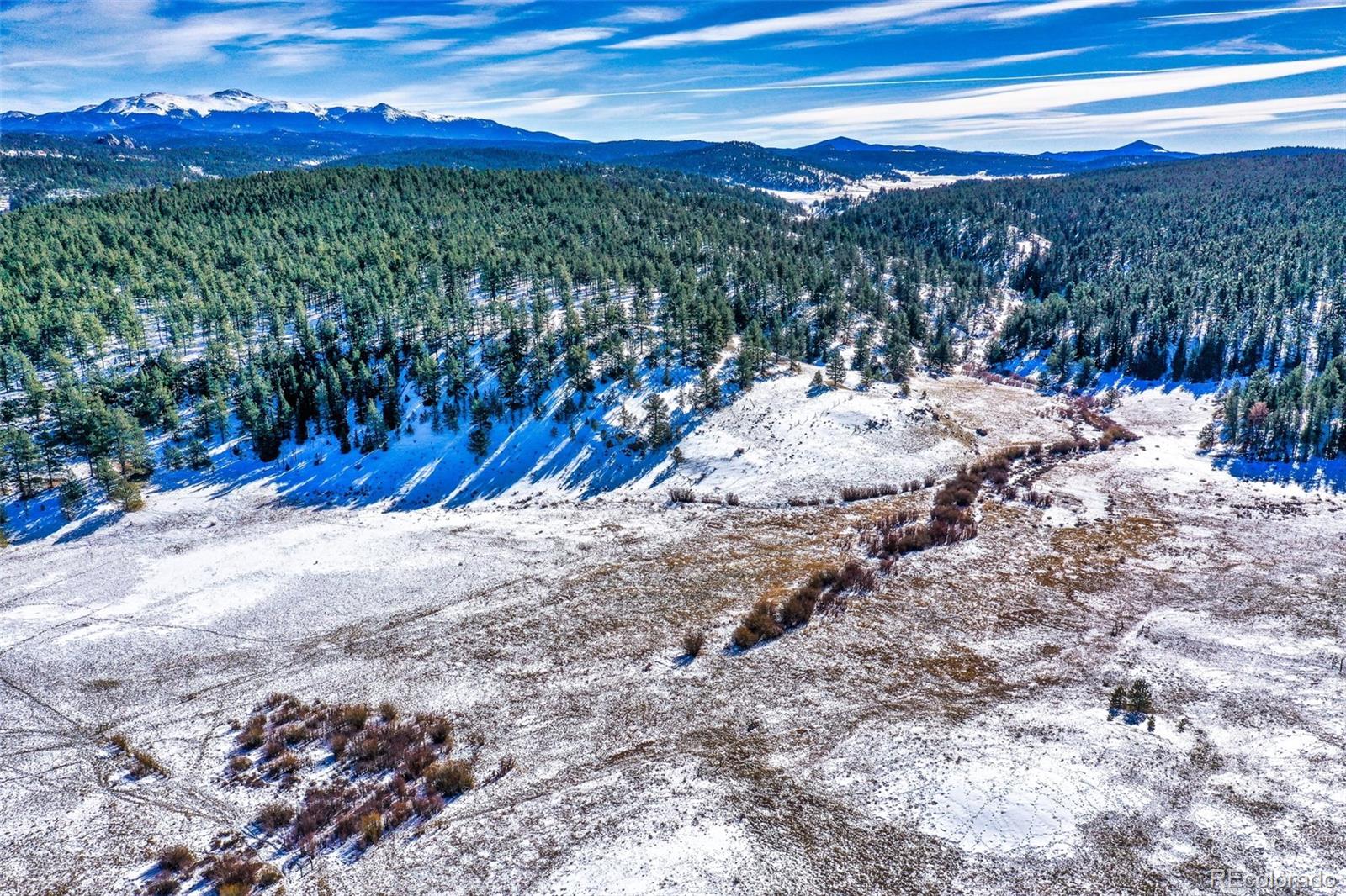 2860 County Road 46, Florissant, CO 80816