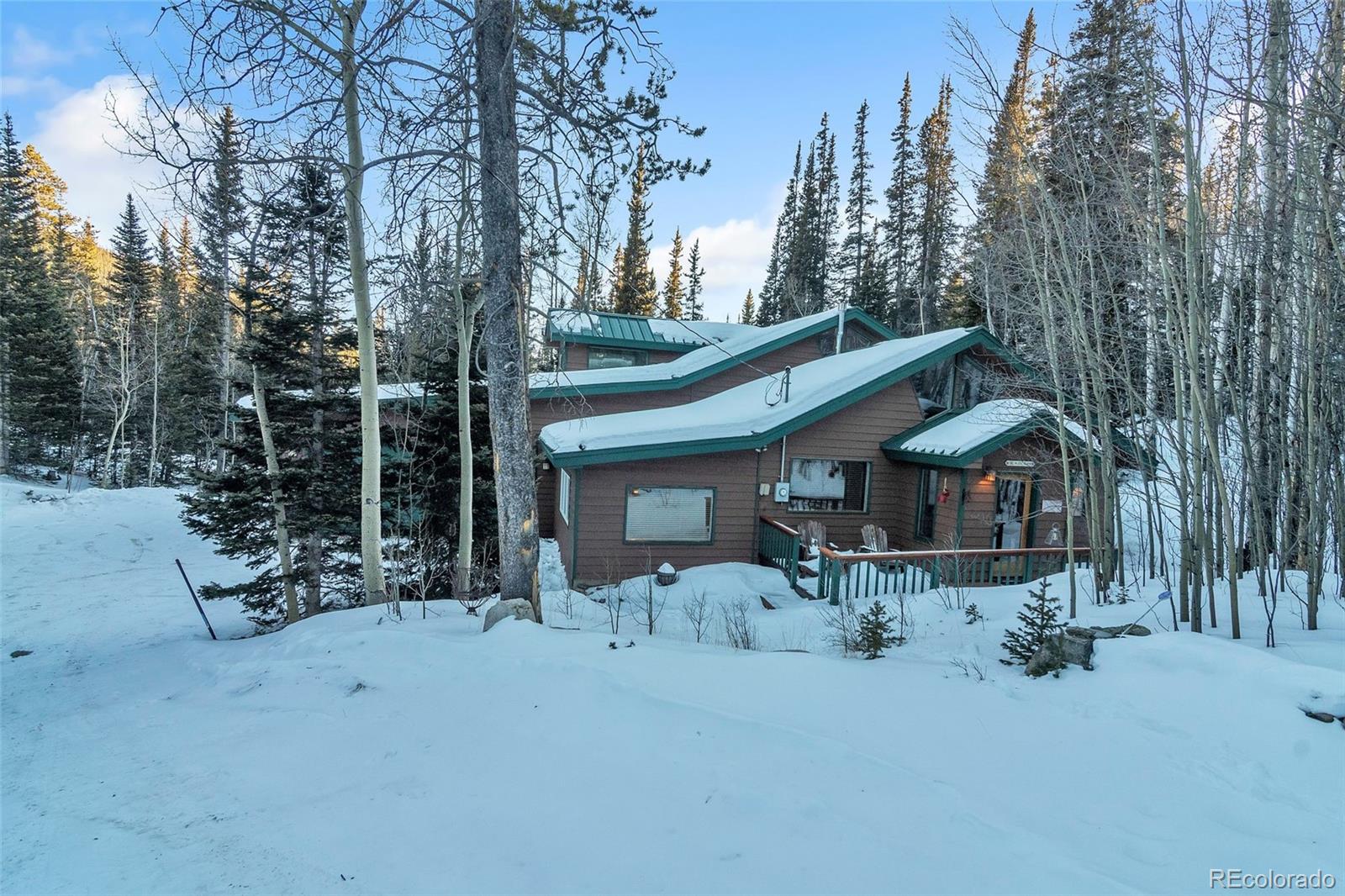 96 Pratt Pl, Alma, CO 80420
