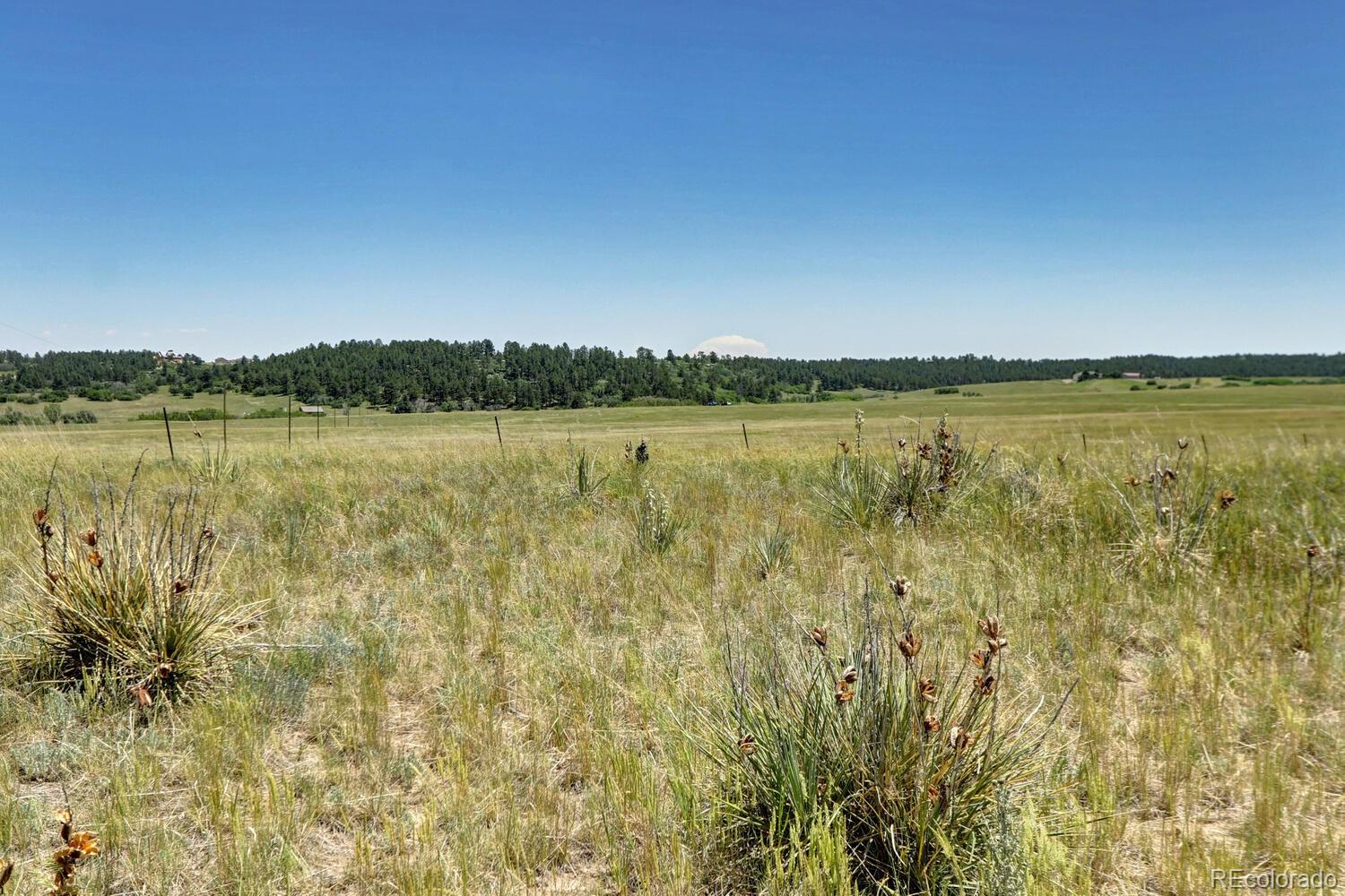 11200 S State Highway 83, Franktown, CO 80116