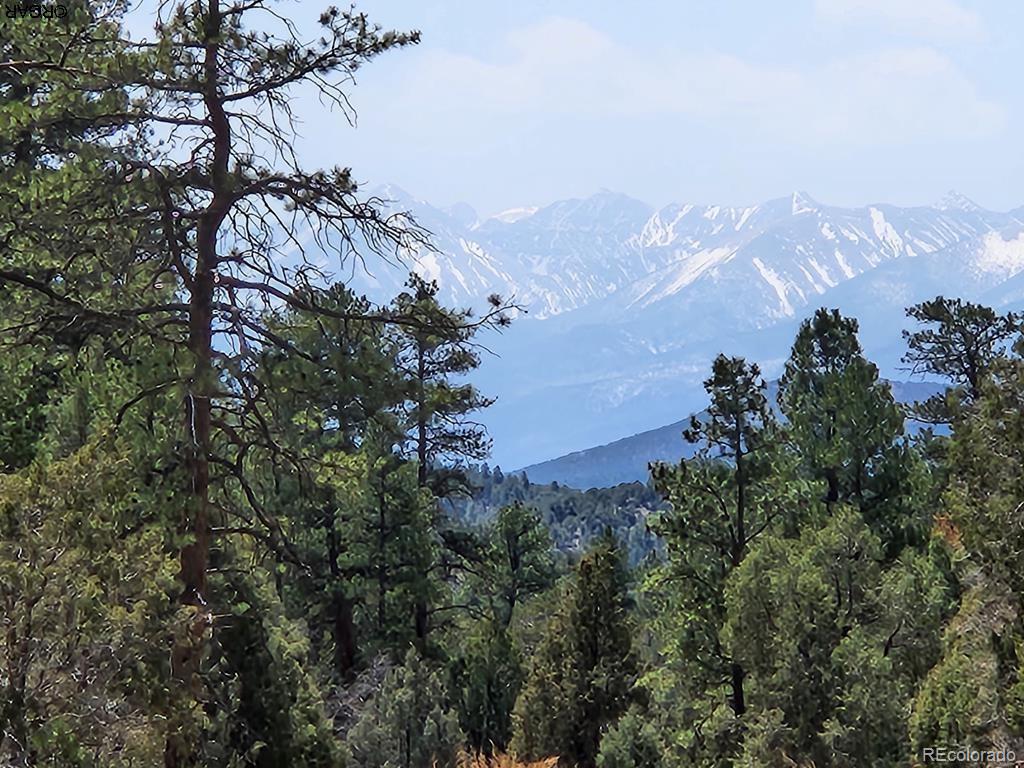 1314 Arnold Dr Lot 545, Cotopaxi, CO 81223