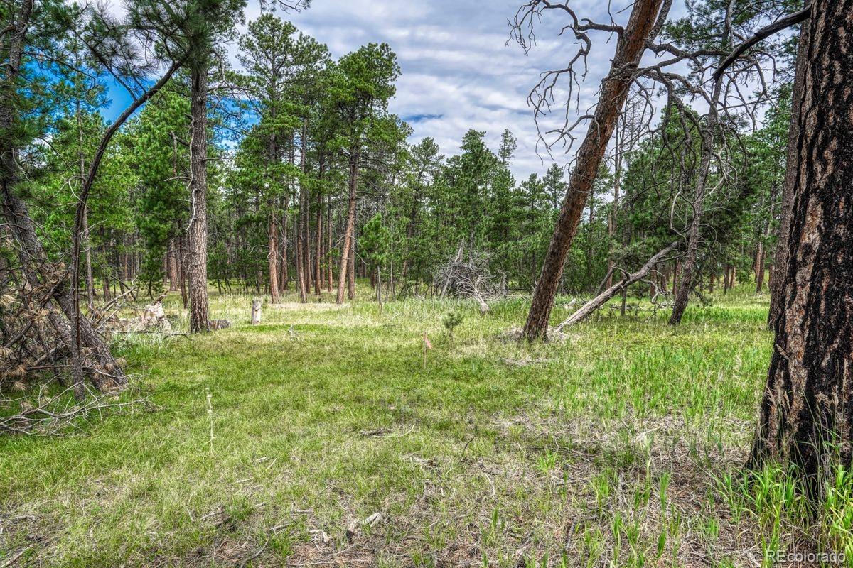 00 Club Dr, Colorado Springs, CO 80908