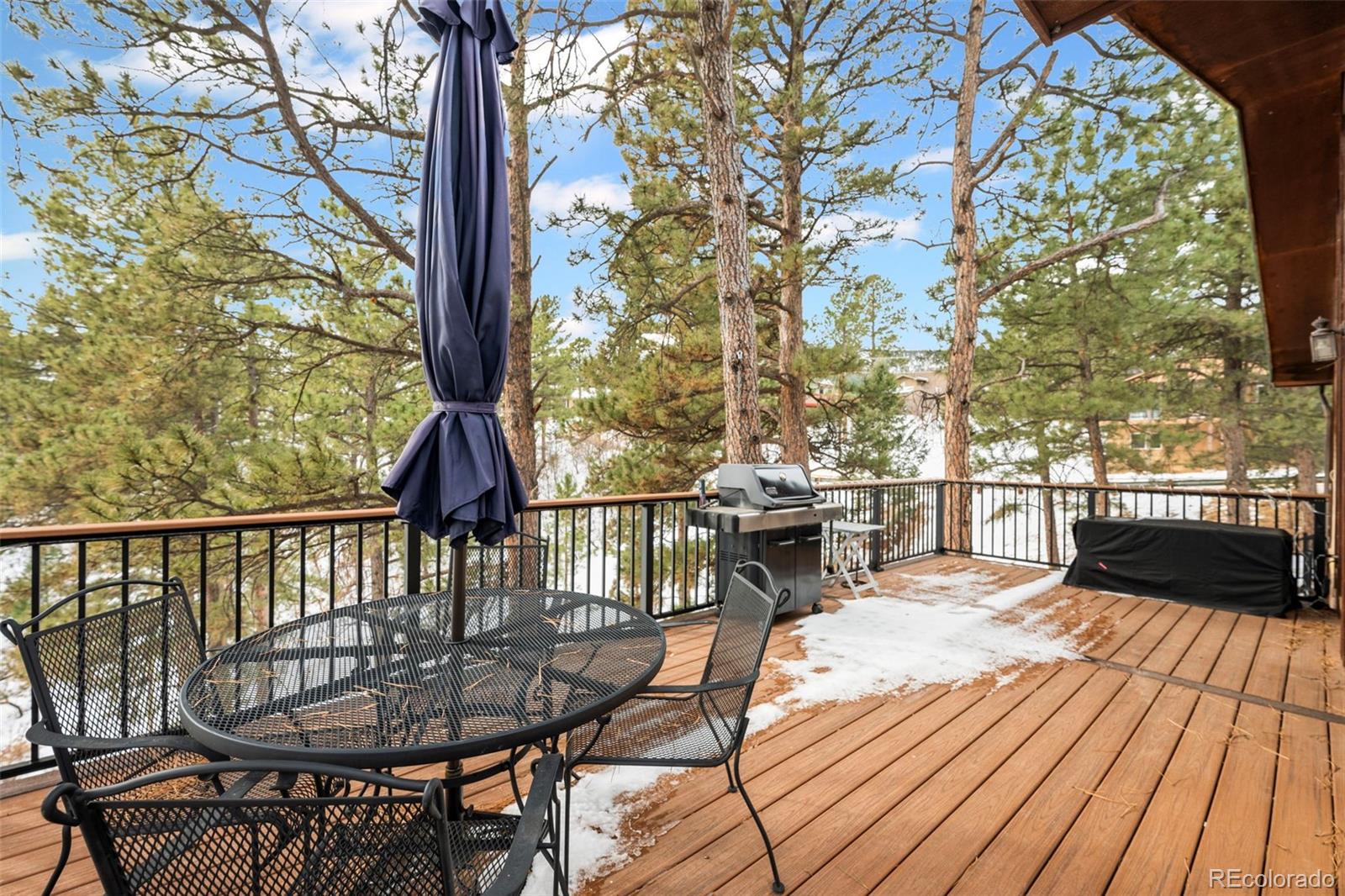 723 Eaton Rd, Palmer Lake, CO 80133