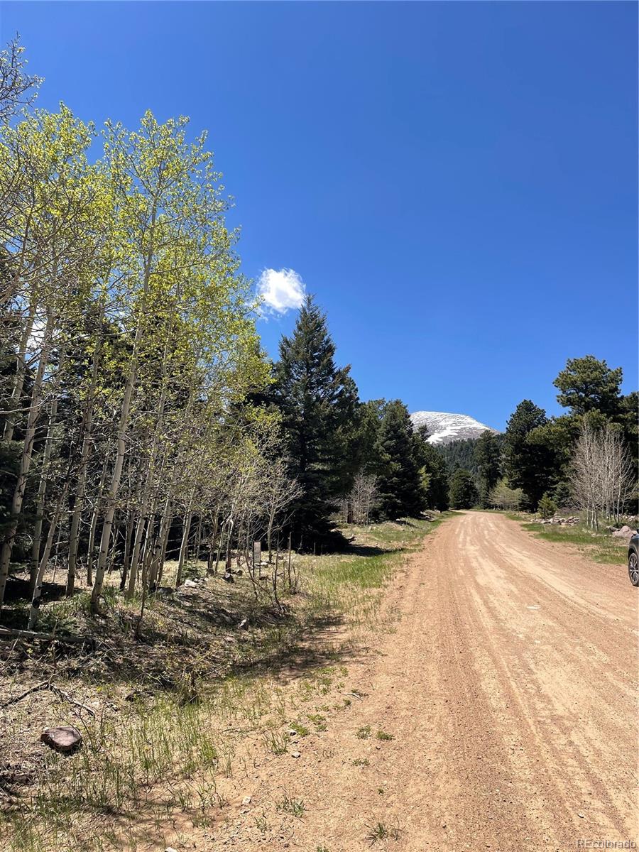 146 Gibson Rd, Westcliffe, CO 81252