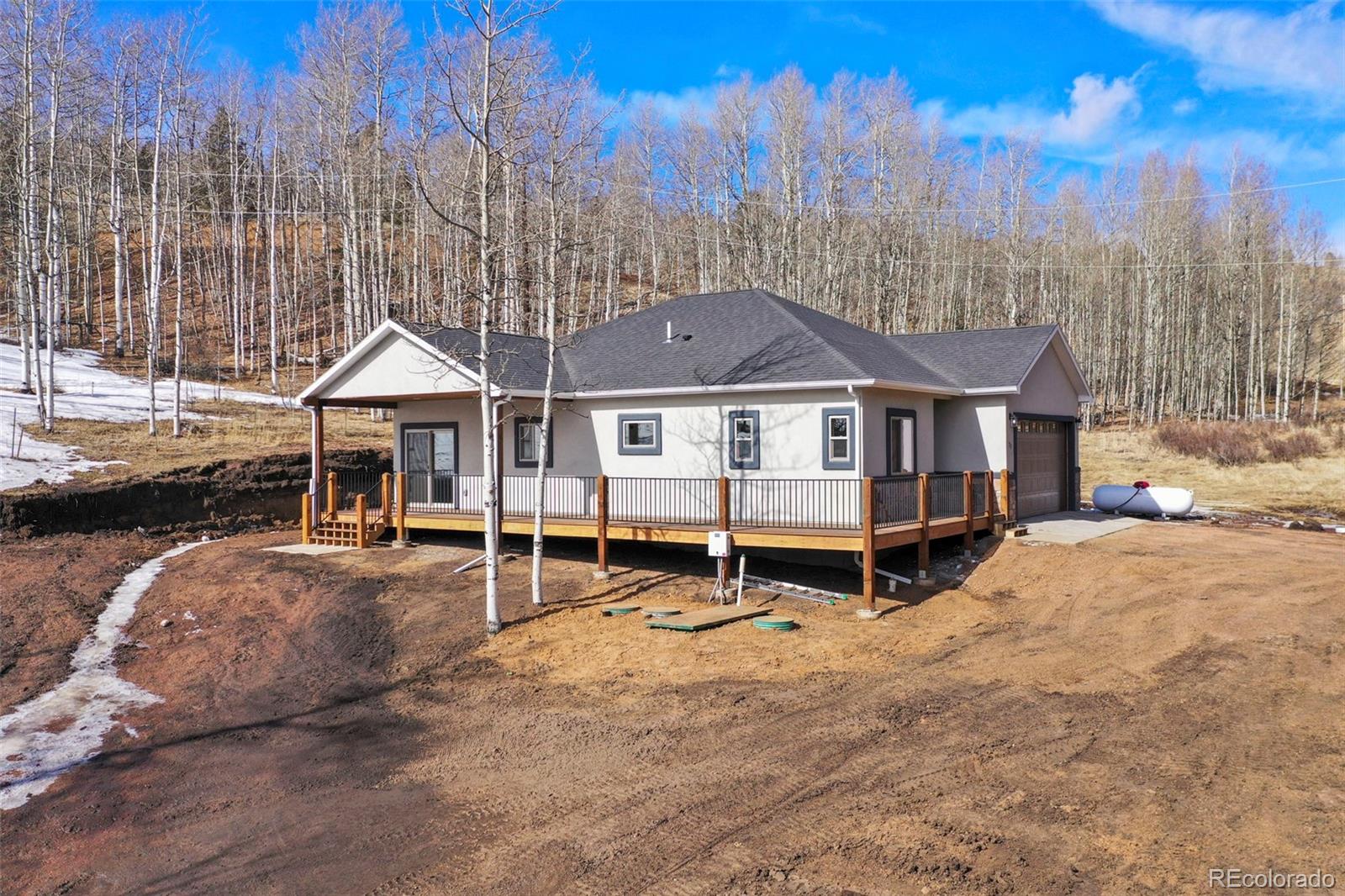 77 Granite Ln, Cripple Creek, CO 80813