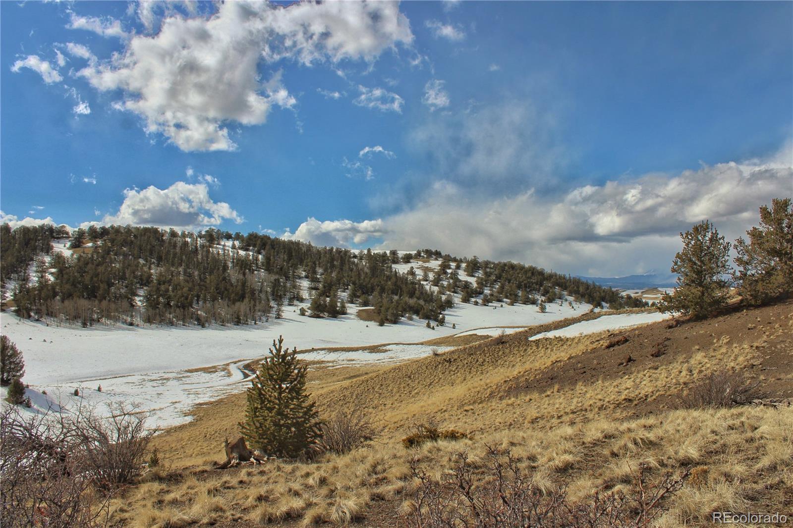 County Road 107, Guffey, CO 80820