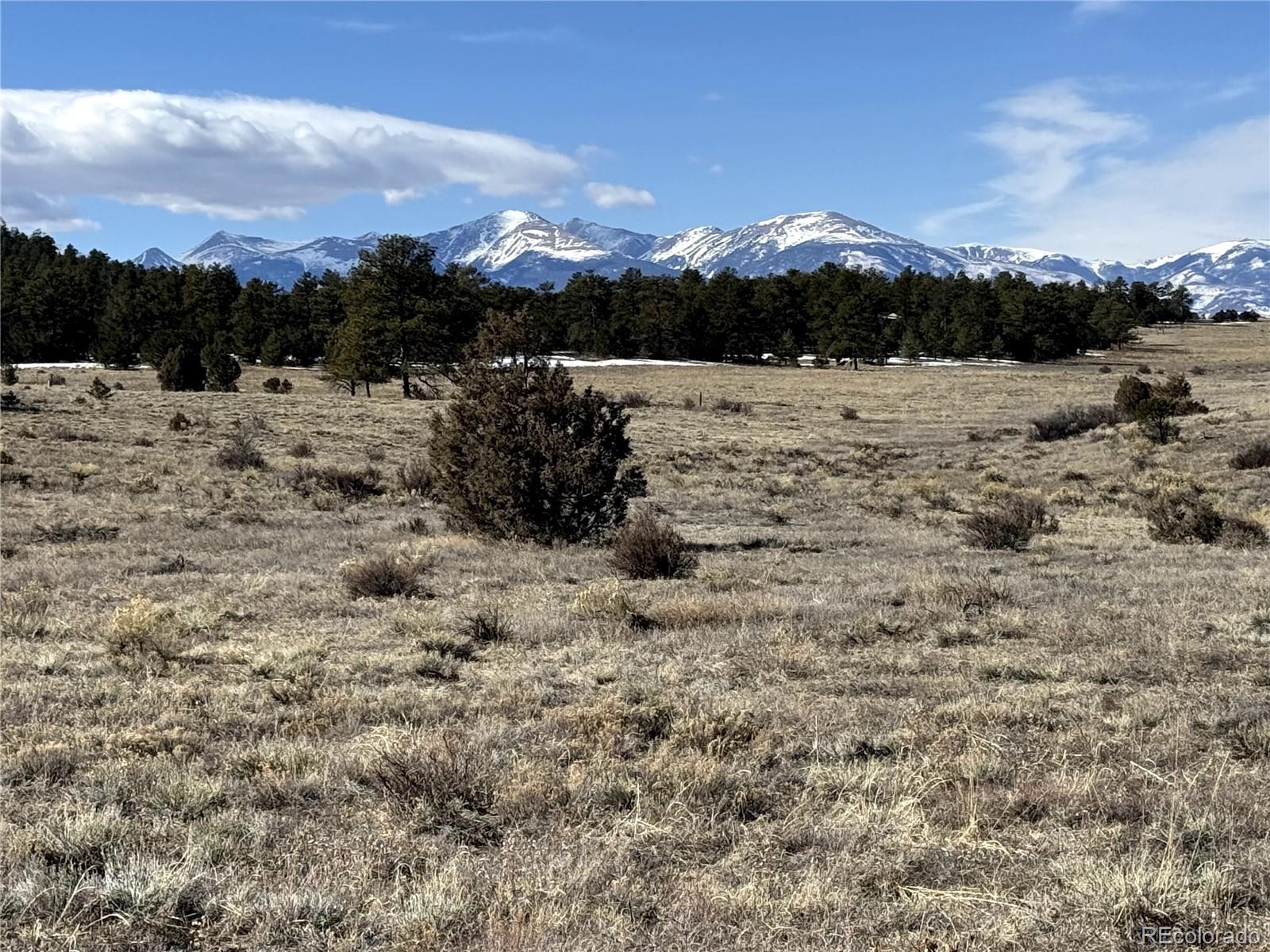 512 Iron Mountain Ranch, Texas Creek, CO 81223