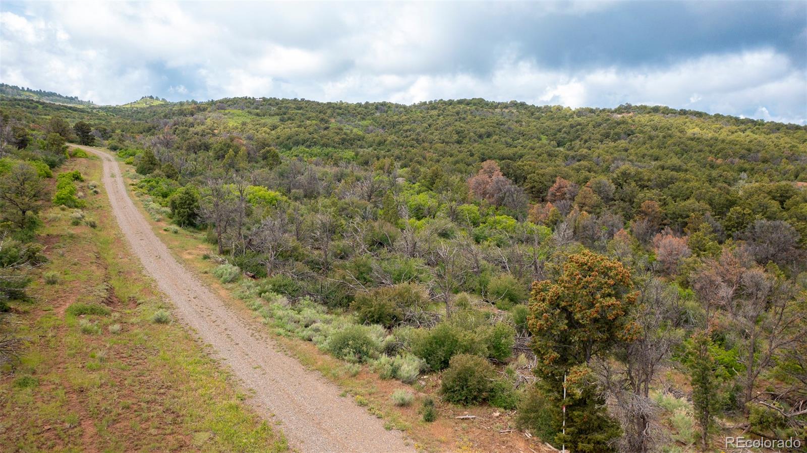 18973 Elk Reserve Rd Lot 12, Glade Park, CO 81523