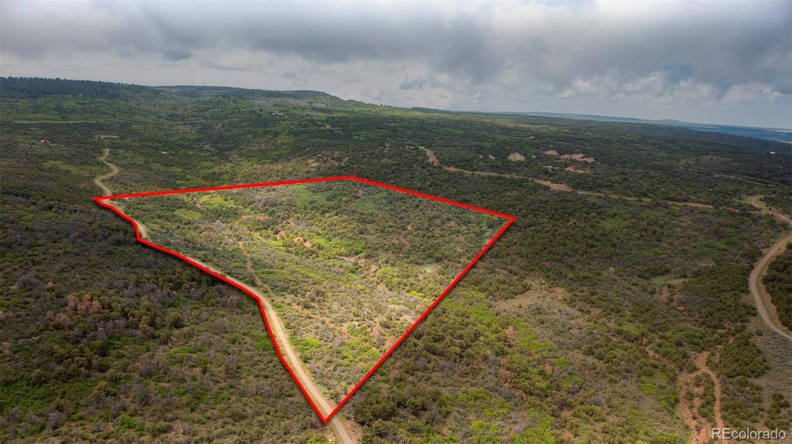 18973 Elk Reserve Rd Lot 12, Glade Park, CO 81523
