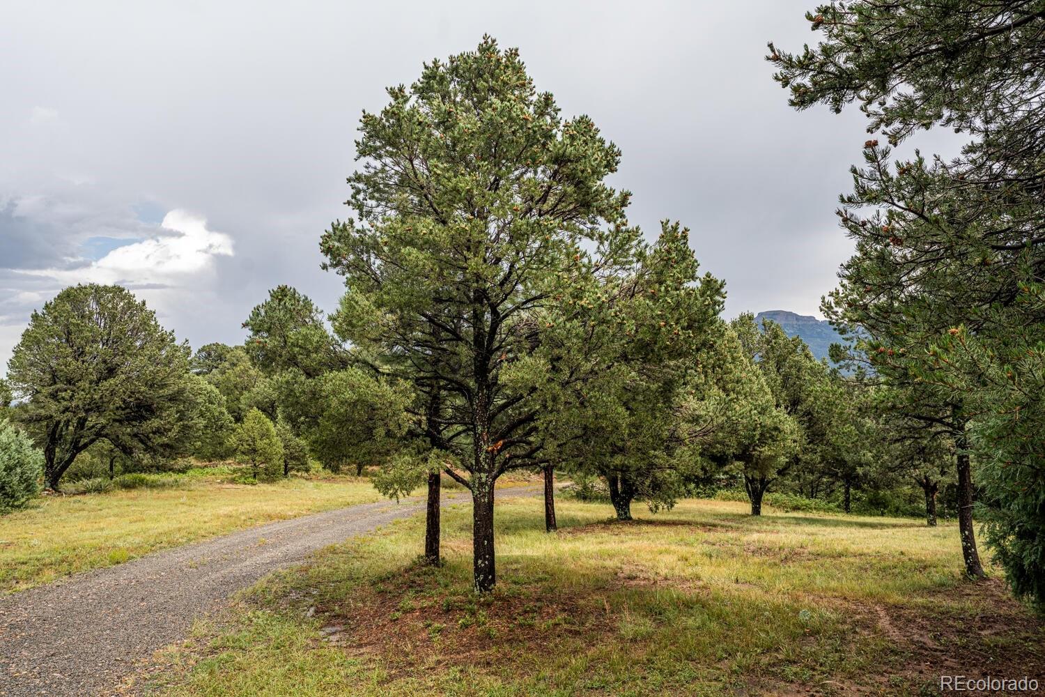 33081 Oak Park Dr, Trinidad, CO 81082