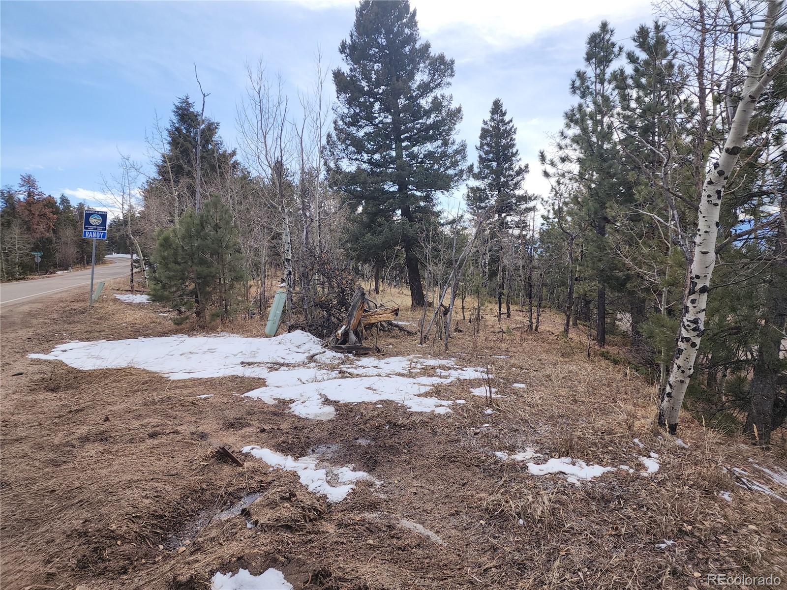 000 Richmond Hill Rd, Conifer, CO 80433