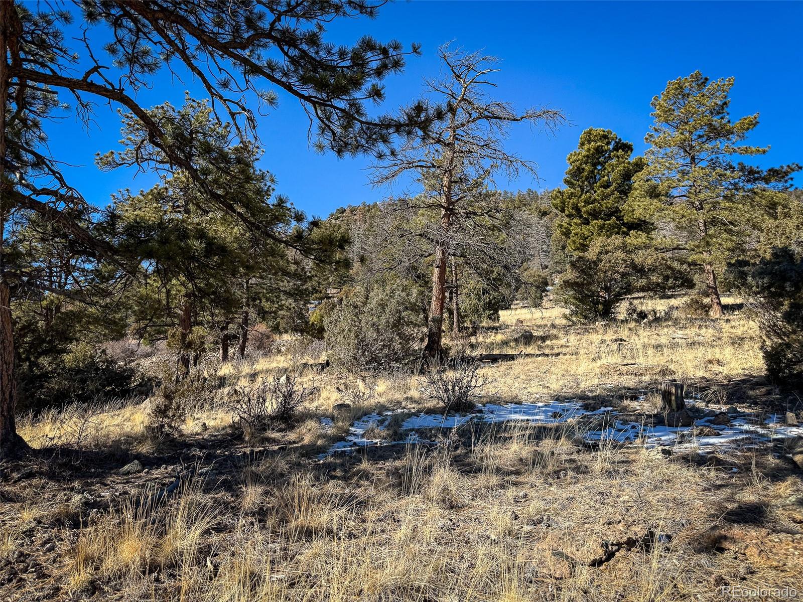 0 Ellingwood Dr, South Fork, CO 81154