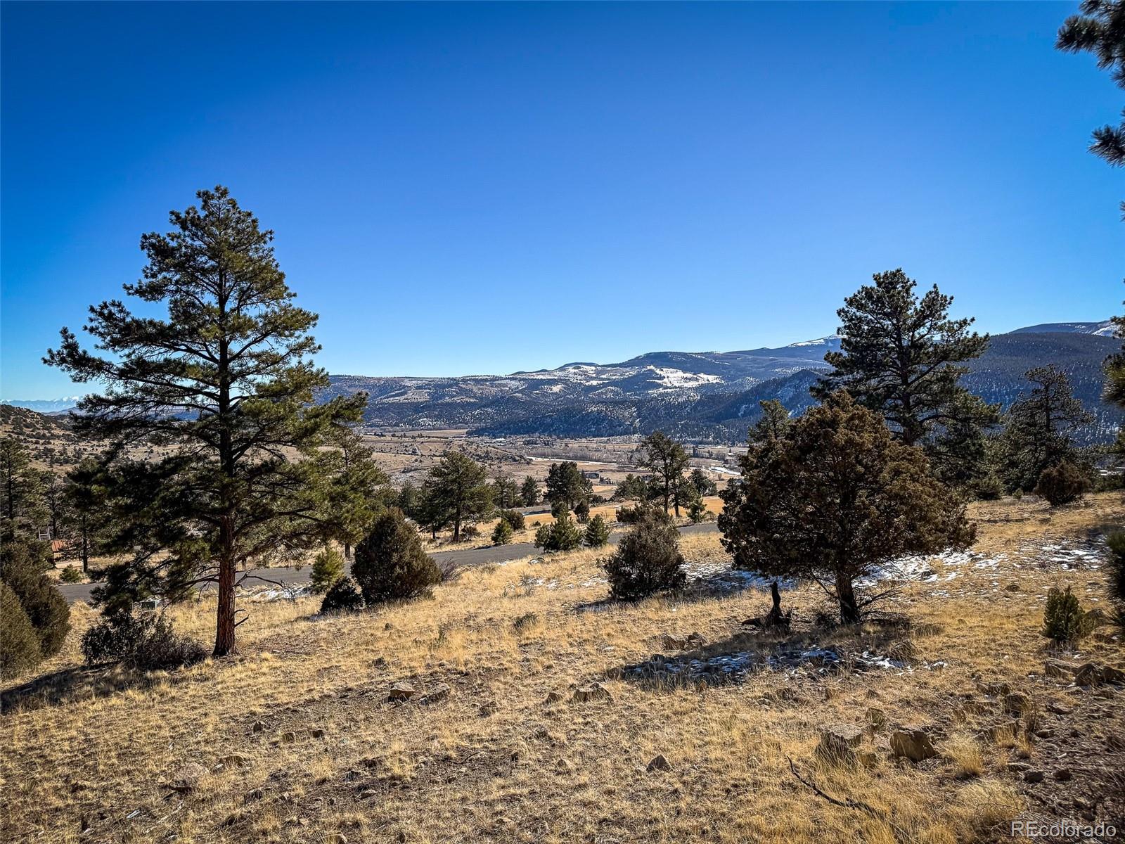 0 Ellingwood Dr, South Fork, CO 81154