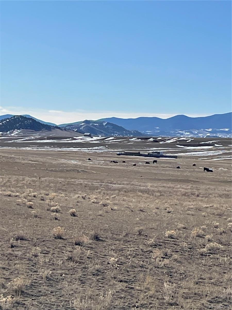 1260 Goldenburg Canyon Rd, Hartsel, CO 80449