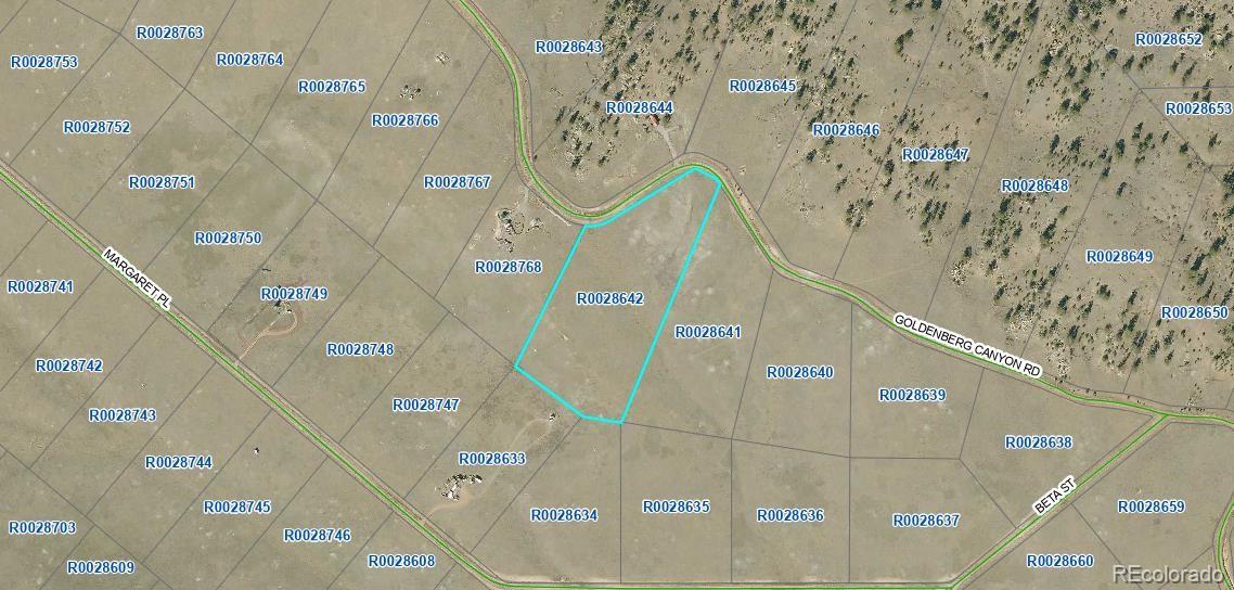 1260 Goldenburg Canyon Rd, Hartsel, CO 80449