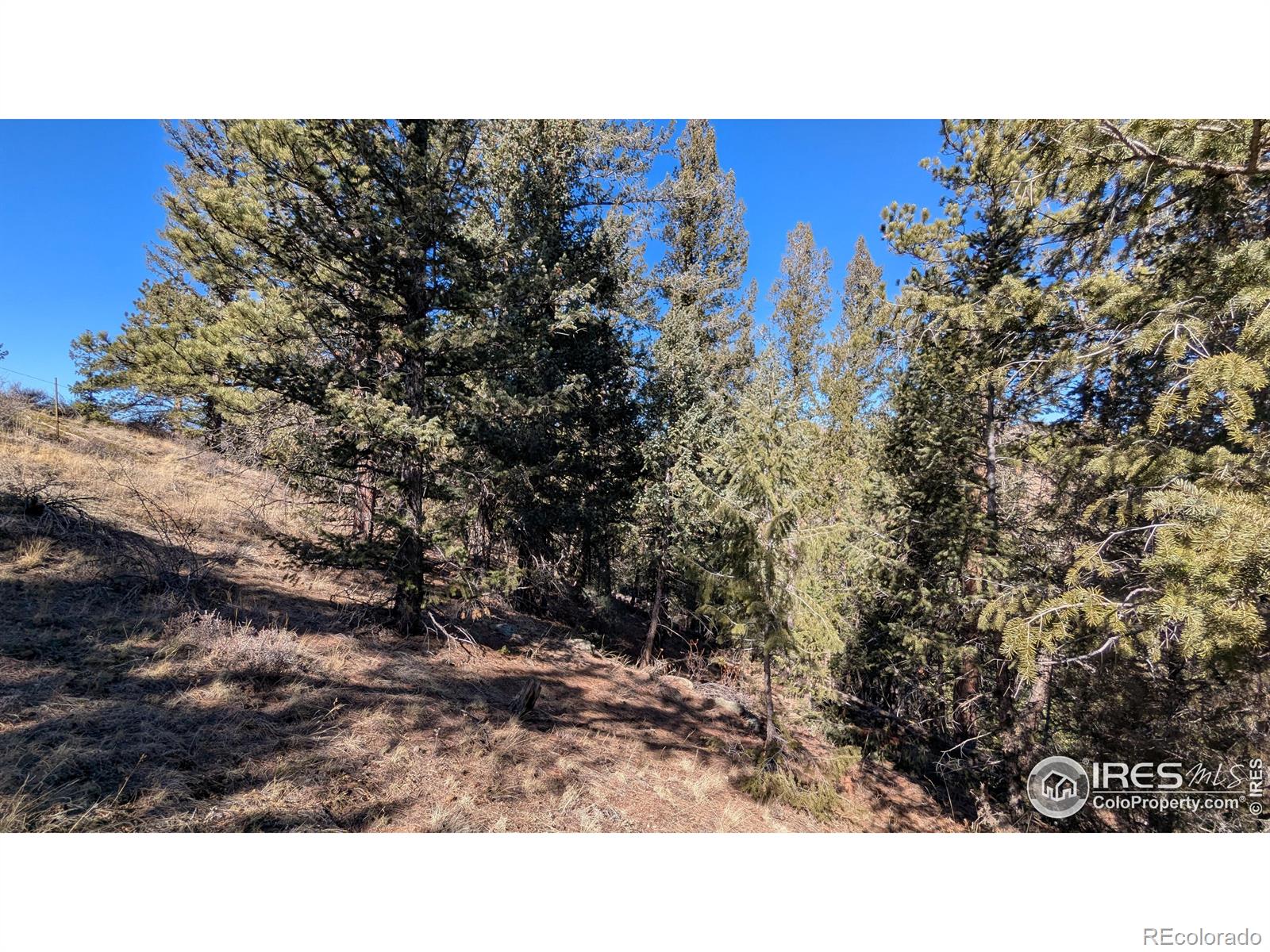 397 Castle Mountain Dr, Livermore, CO 80536