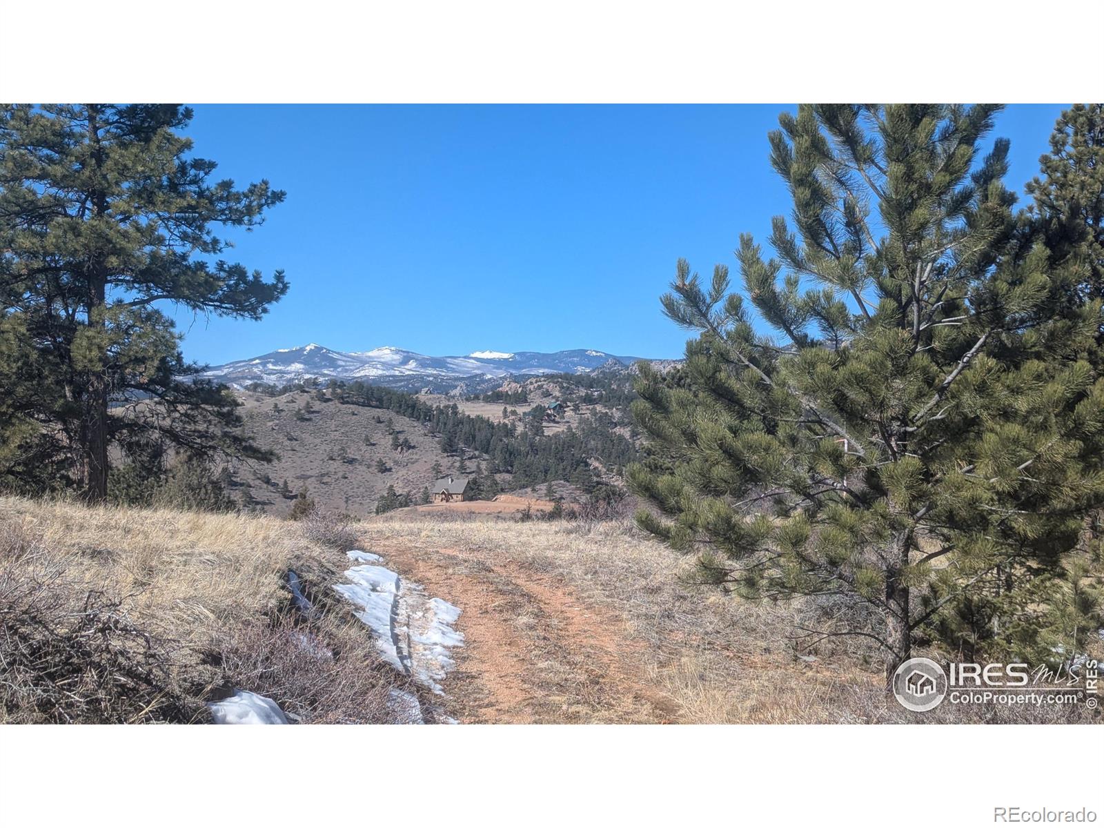 397 Castle Mountain Dr, Livermore, CO 80536
