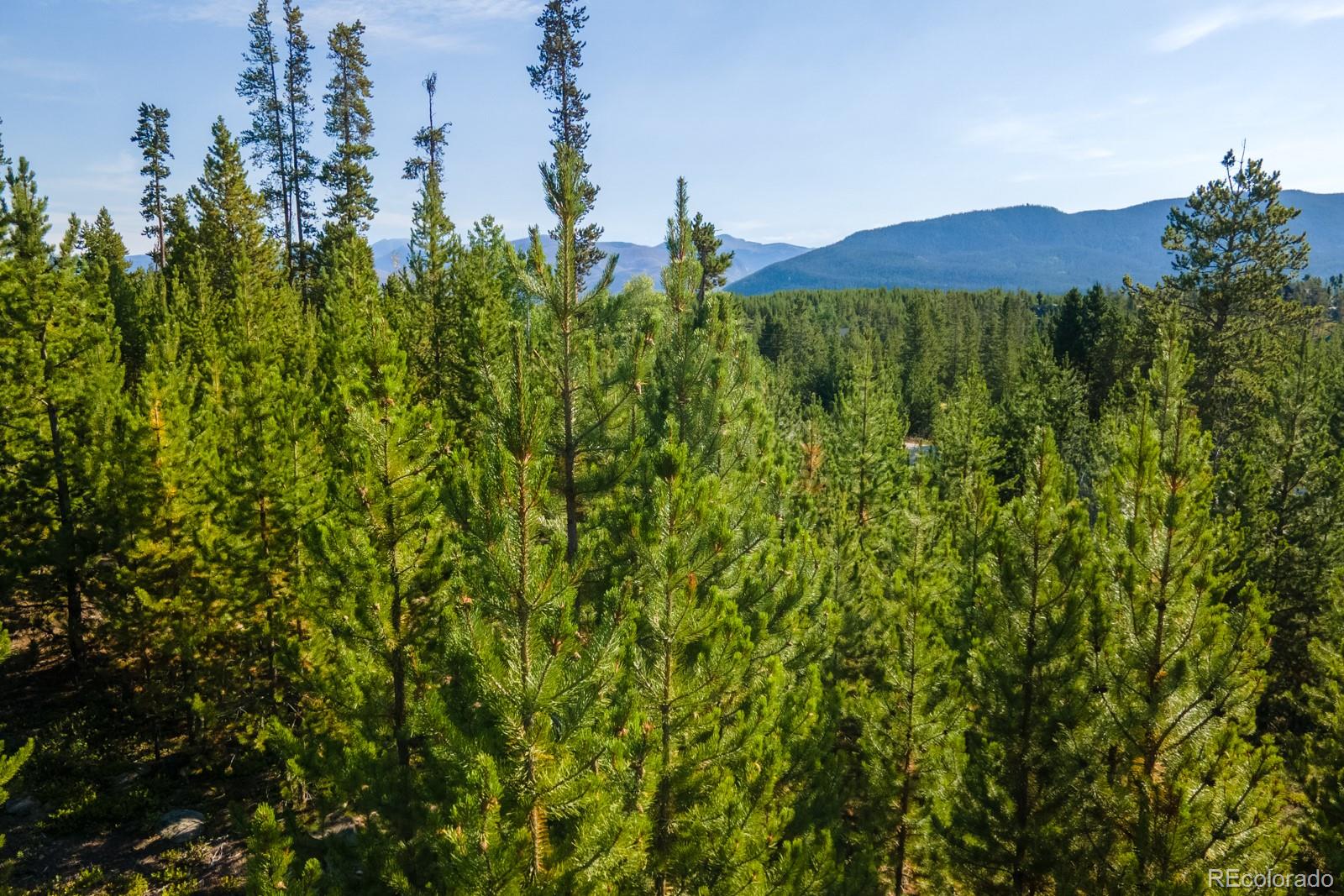 493 Trail Ridge Dr, Grand Lake, CO 80447